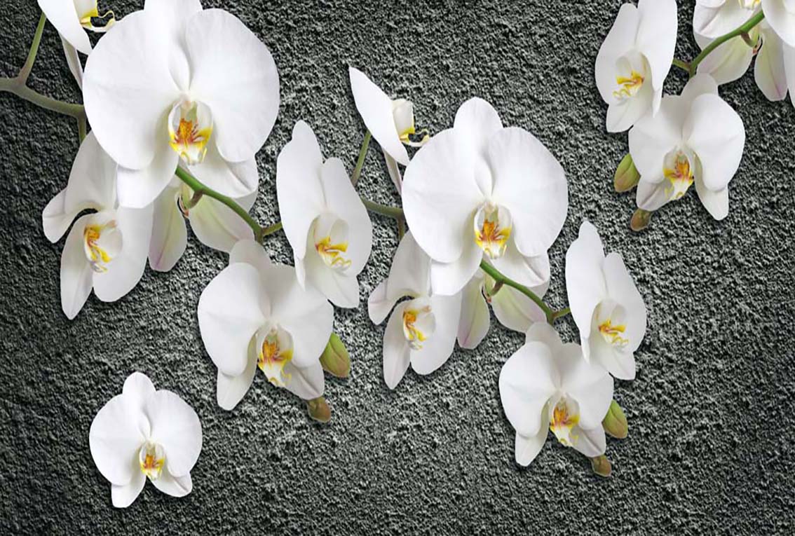 Фотообои WS Wallpaper 3D Орхидеи на стене 392x270 см (31327)