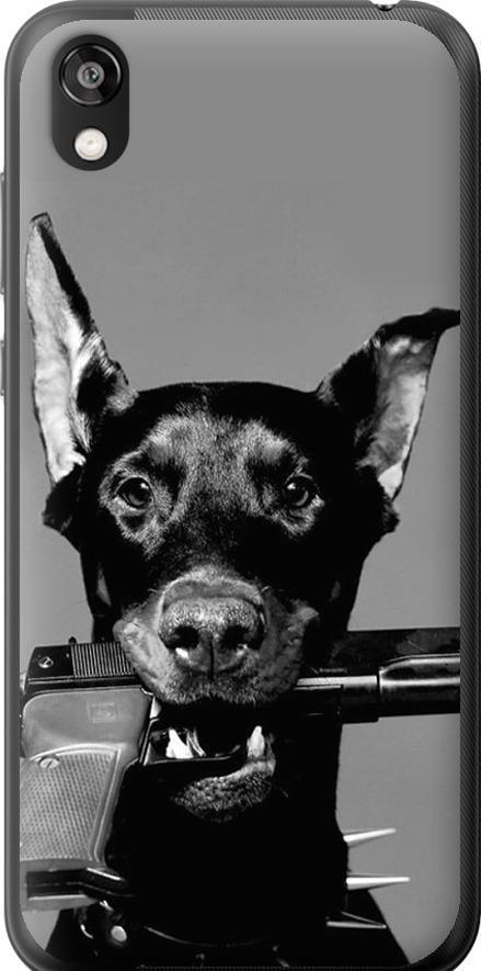 Чехол на Huawei Honor 8S Доберман (2745u-1679-42517)