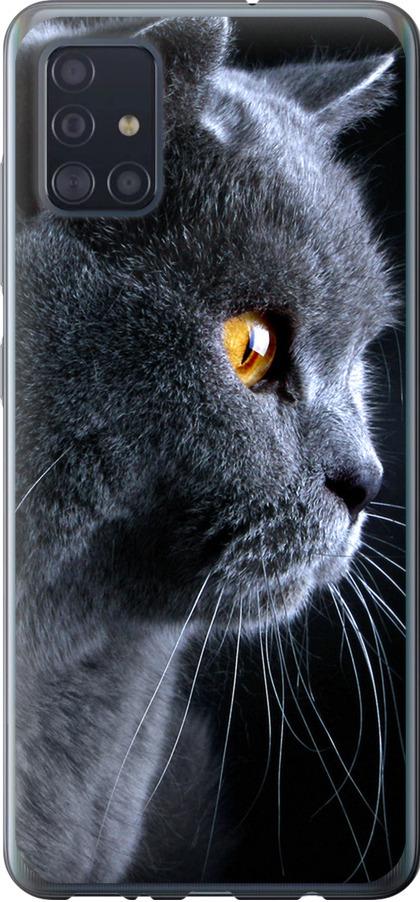 Чехол на Samsung Galaxy A51 2020 A515F Красивый кот (3038u-1827-42517)