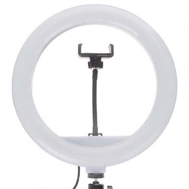Кольцевая LED-лампа JY-300 30 см (17945039)