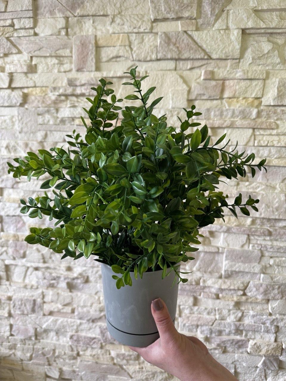 Вазон з штучним самшитом ПЛАСТМАКС (25087356) - фото 3