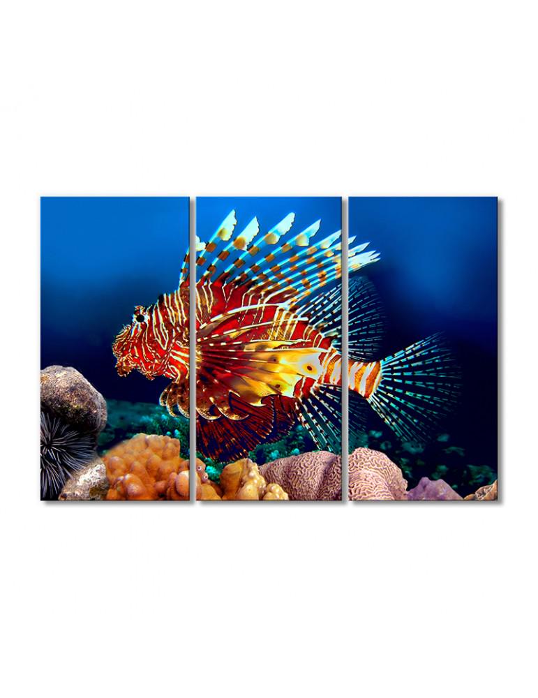 Картина модульная Полосатая крылатка 3 модуля 70x105 см