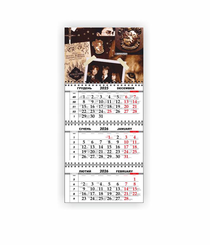 Календарь настенный квартальный Vivay Гарри Поттер на 2026 год (31064191)