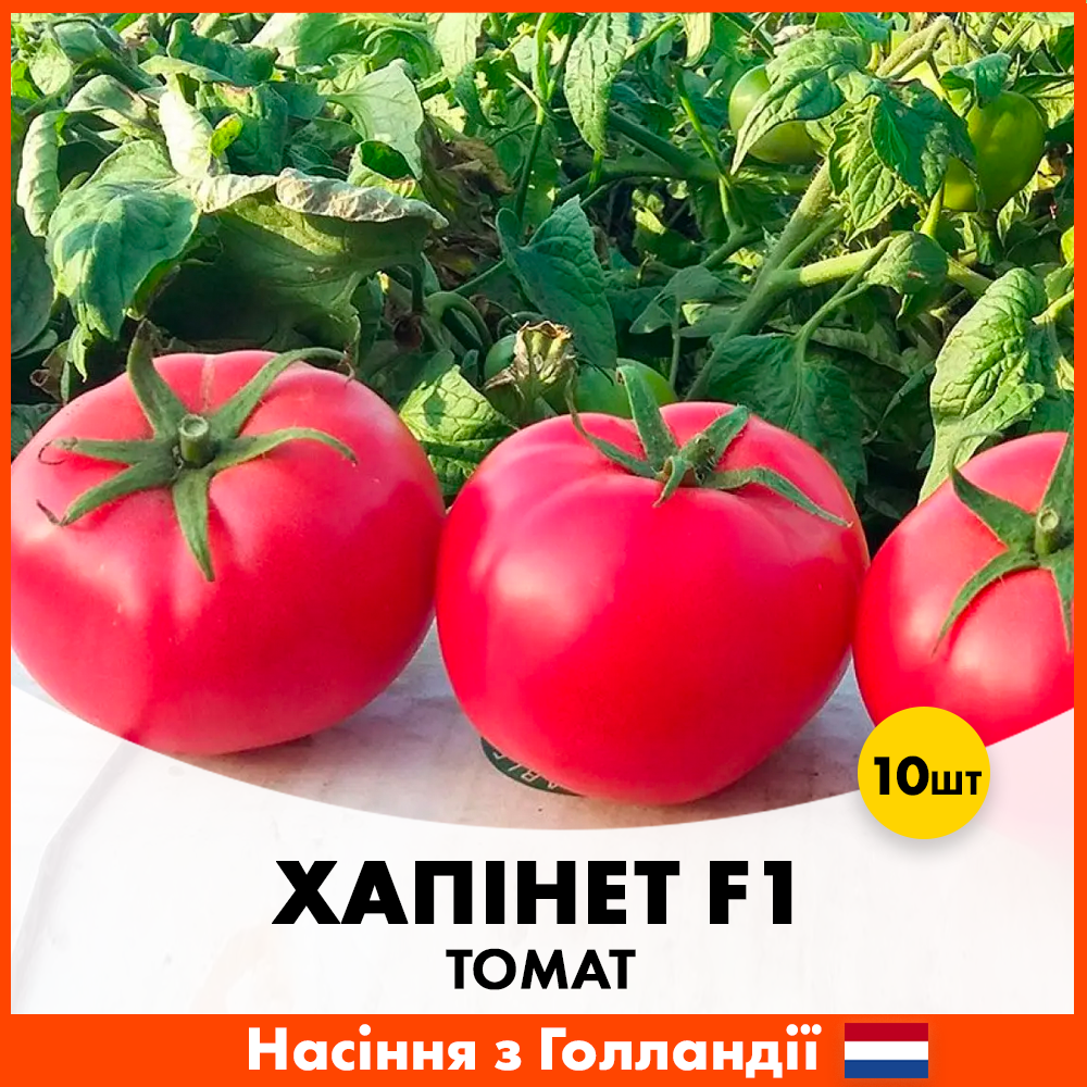 Семена томата Syngenta Хапинет F1 10 шт. (T12)