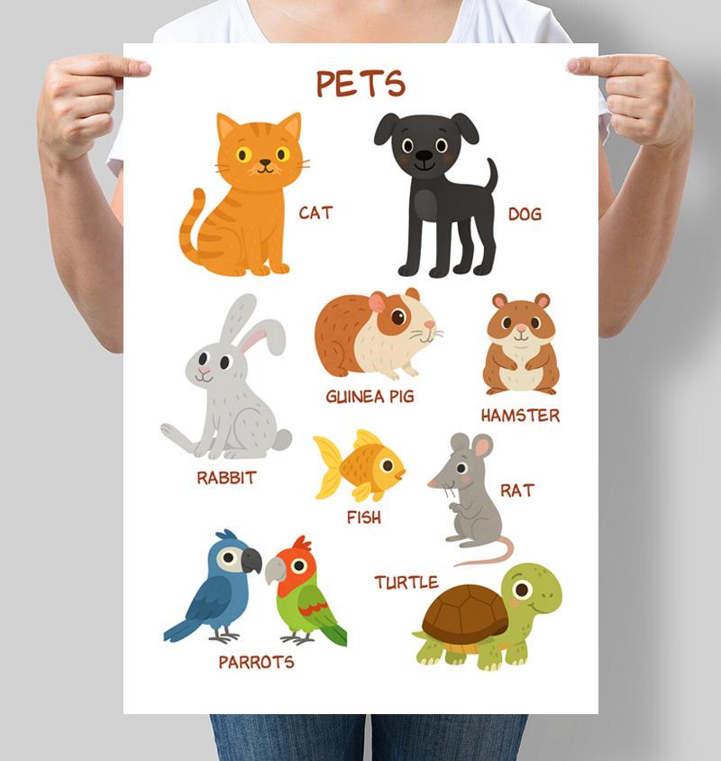 Постер обучающий для детсада на английском Животные Pets 42x60 см A2 без рамки (D243_A2) Постер обучающий для детсада на английском Животные Pets 42x60 см A2 без рамки (D243_A2)