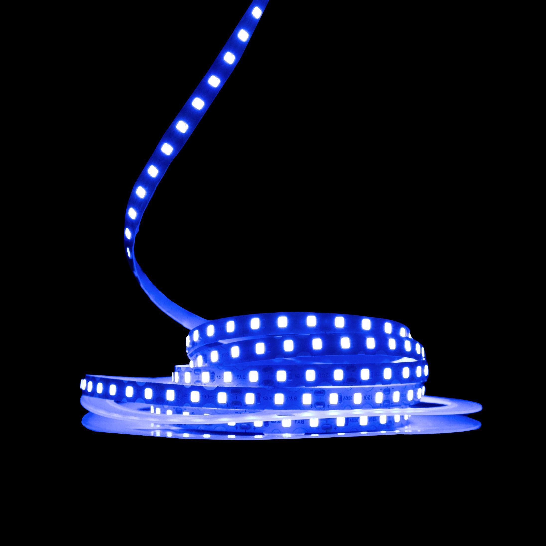 Светодиодная лента Prolum IP20 2835/120 S-TYPE Series-S 12V Синий (28522721) - фото 2 Светодиодная лента Prolum IP20 2835/120 S-TYPE Series-S 12V Синий (28522721) - фото 2