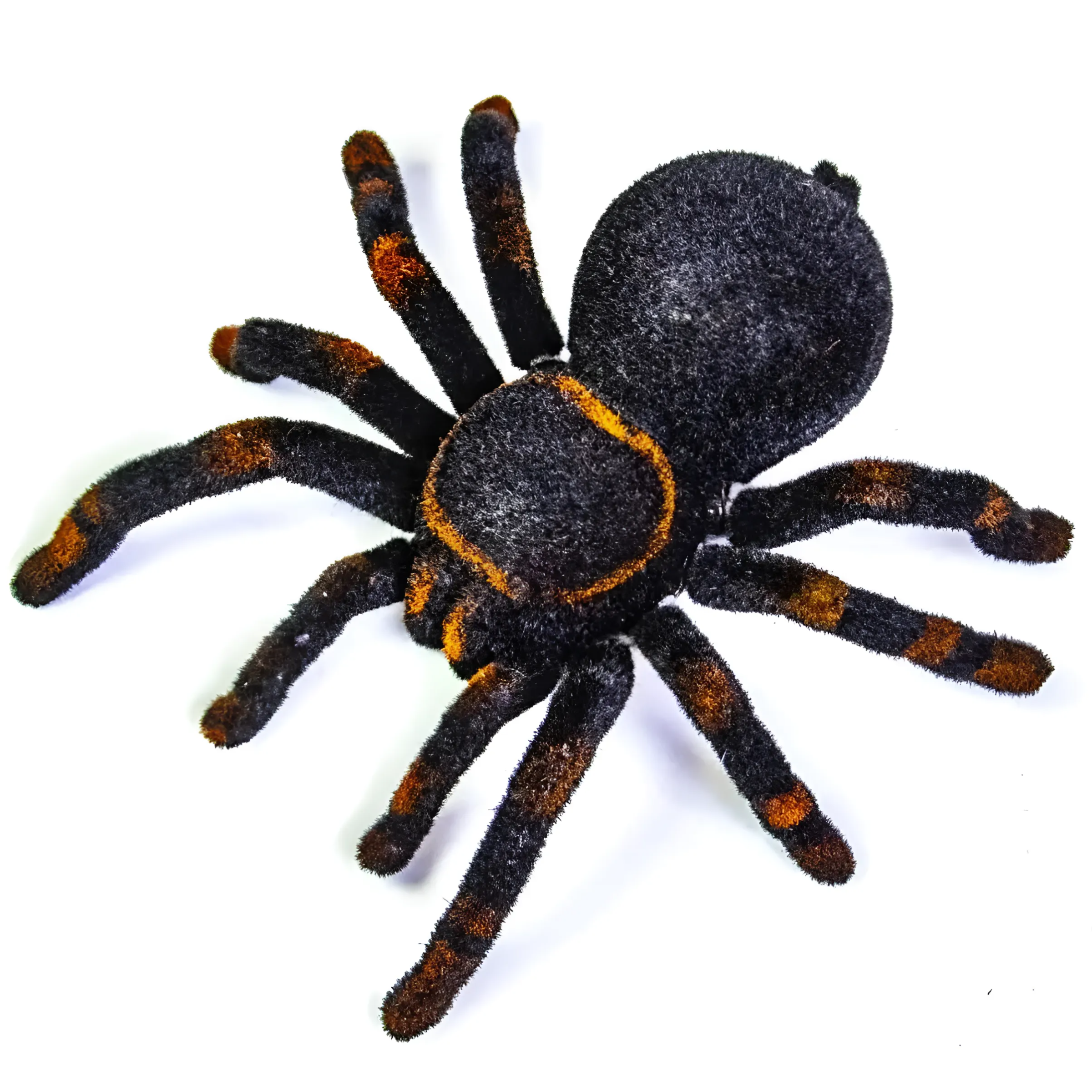 ПаукSunlight Cute 871 Tarantula на радиоуправлении 30 см