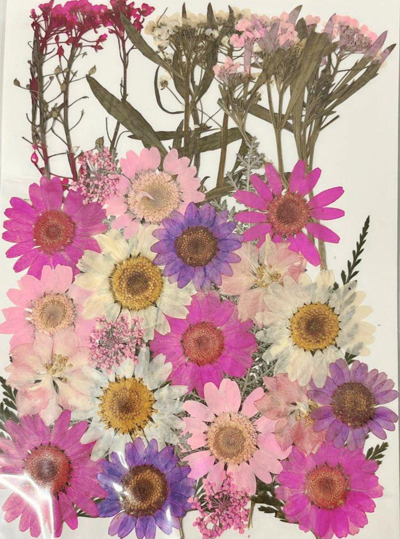 Сухоцвет набор №2 для творчества для ювелирных изделий из эпоксидной смолы 40 шт. (С-032/2)