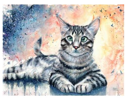 Картина по номерам Josef Otten Животные Кошка 40х50 см в термопакете (5308Y_O-mt)