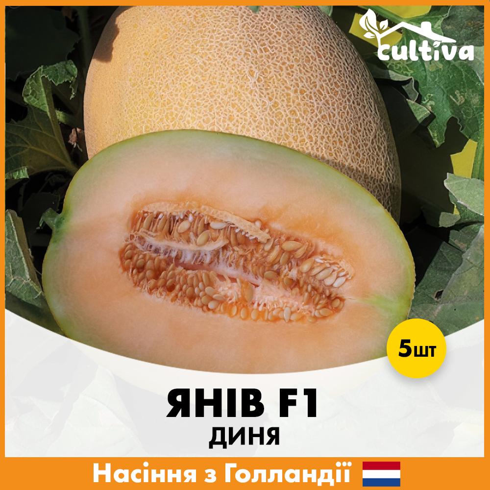 Семена дыни Hazera Янов F1 5 шт. (R51114)