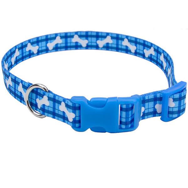 Ошейник для собак Coastal Pet Attire Styles 2,5х46-66 см (06921_PBO26)