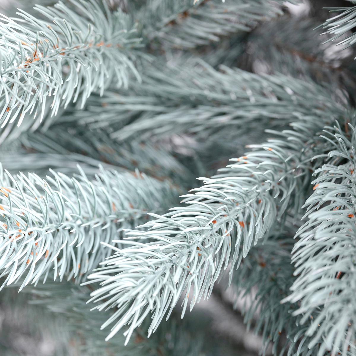 Штучна ялинка лита Говерла Преміум TD-GOVBL21 2,1 м Блакитний (29912655) - фото 2 Штучна ялинка лита Говерла Преміум TD-GOVBL21 2,1 м Блакитний (29912655) - фото 2