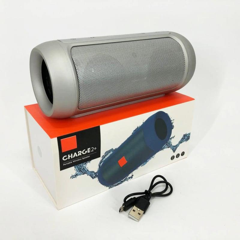 Колонка Charge J2 Silver (tf5134) - фото 9