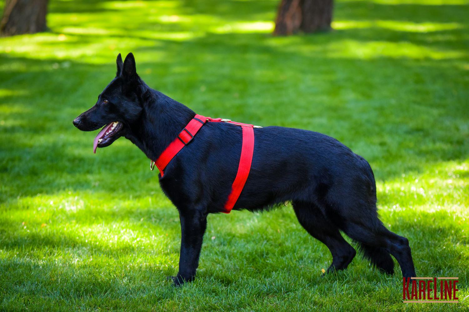 Шлея анатомічна KareLine з нейлону зі світловідбиваючими елементами 25 мм А:340-540 мм В:470-690 мм Червоний (0976/6) - фото 4 Шлея анатомічна KareLine з нейлону зі світловідбиваючими елементами 25 мм А:340-540 мм В:470-690 мм Червоний (0976/6) - фото 4