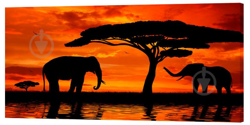 Картина на холсте Декор Карпаты Слоны 50х100 см (z429)