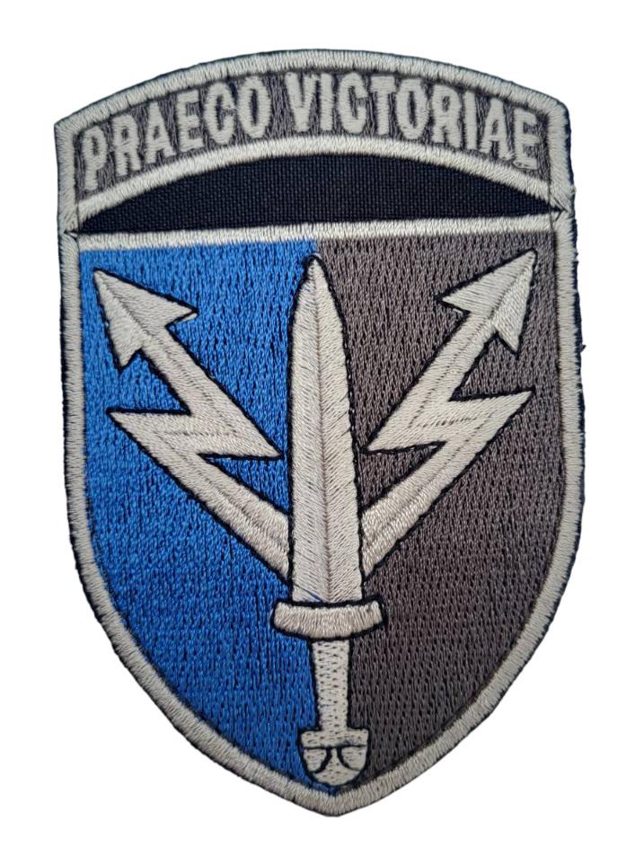 Шеврон ССО 111 Информационно-телекоммуникационный узел с девизом Praeco Victoriae (3584496)