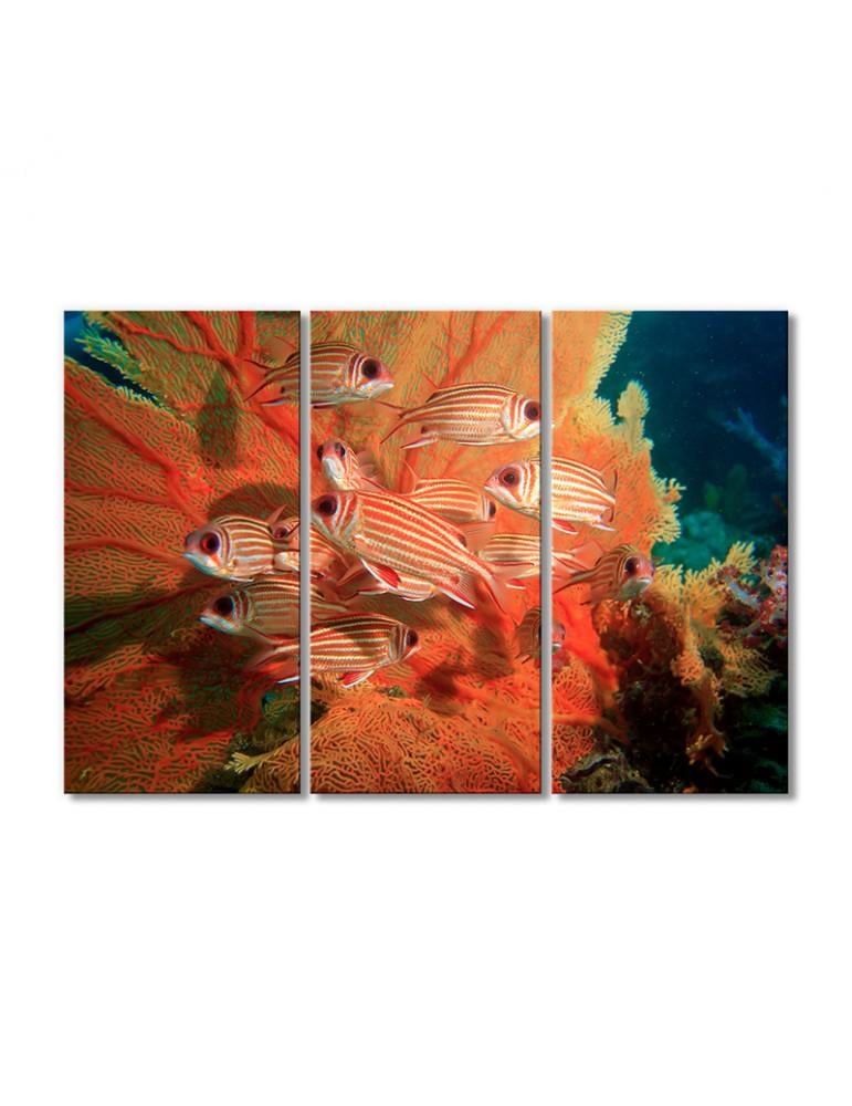 Картина модульная Полосатые рыбки у кораллов 3 модуля 80x120 см