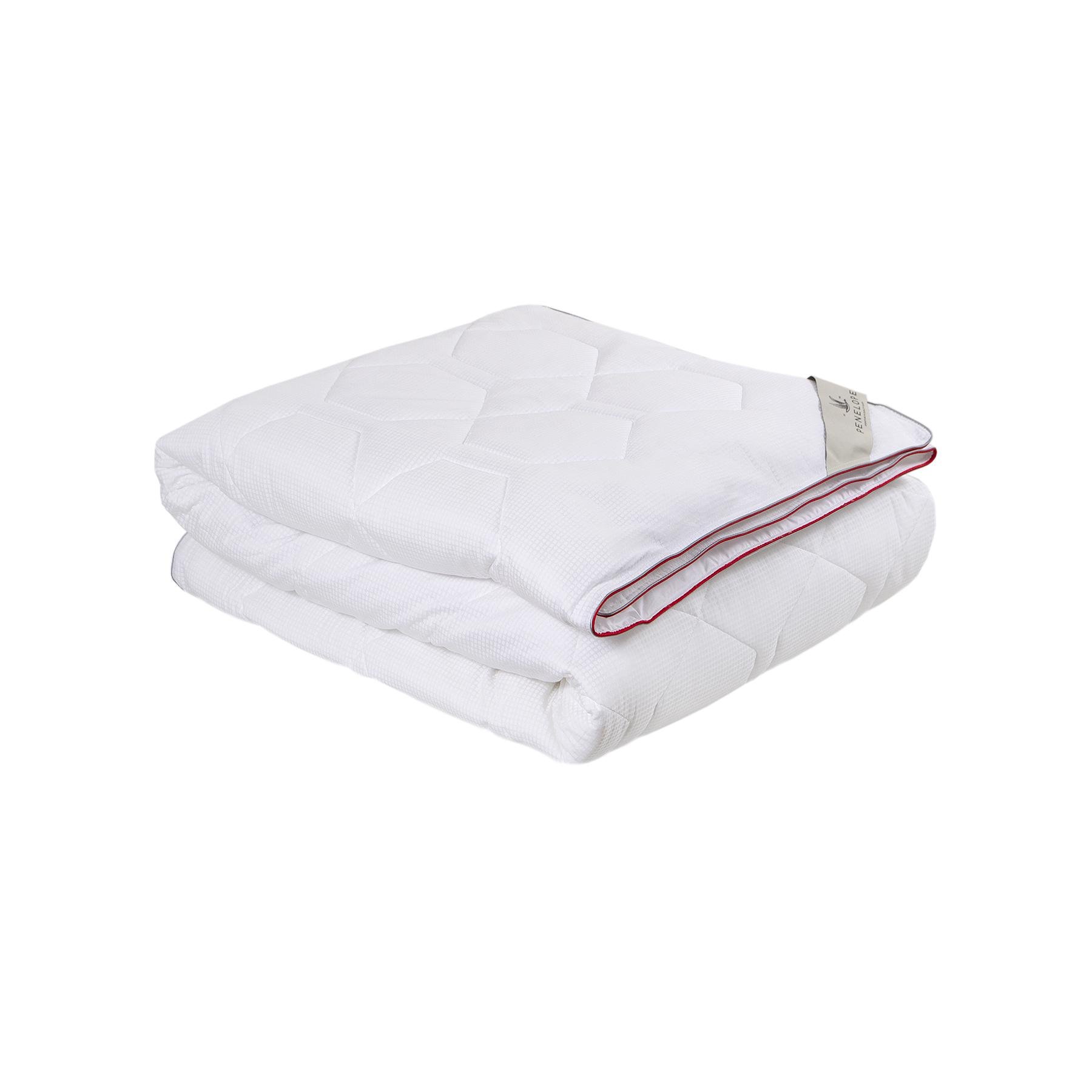 Одеяло Penelope Thermo Lyo 6,5 tog антиаллергенное полуторное 155х215 см (11683202) Одеяло Penelope Thermo Lyo 6,5 tog антиаллергенное полуторное 155х215 см (11683202)