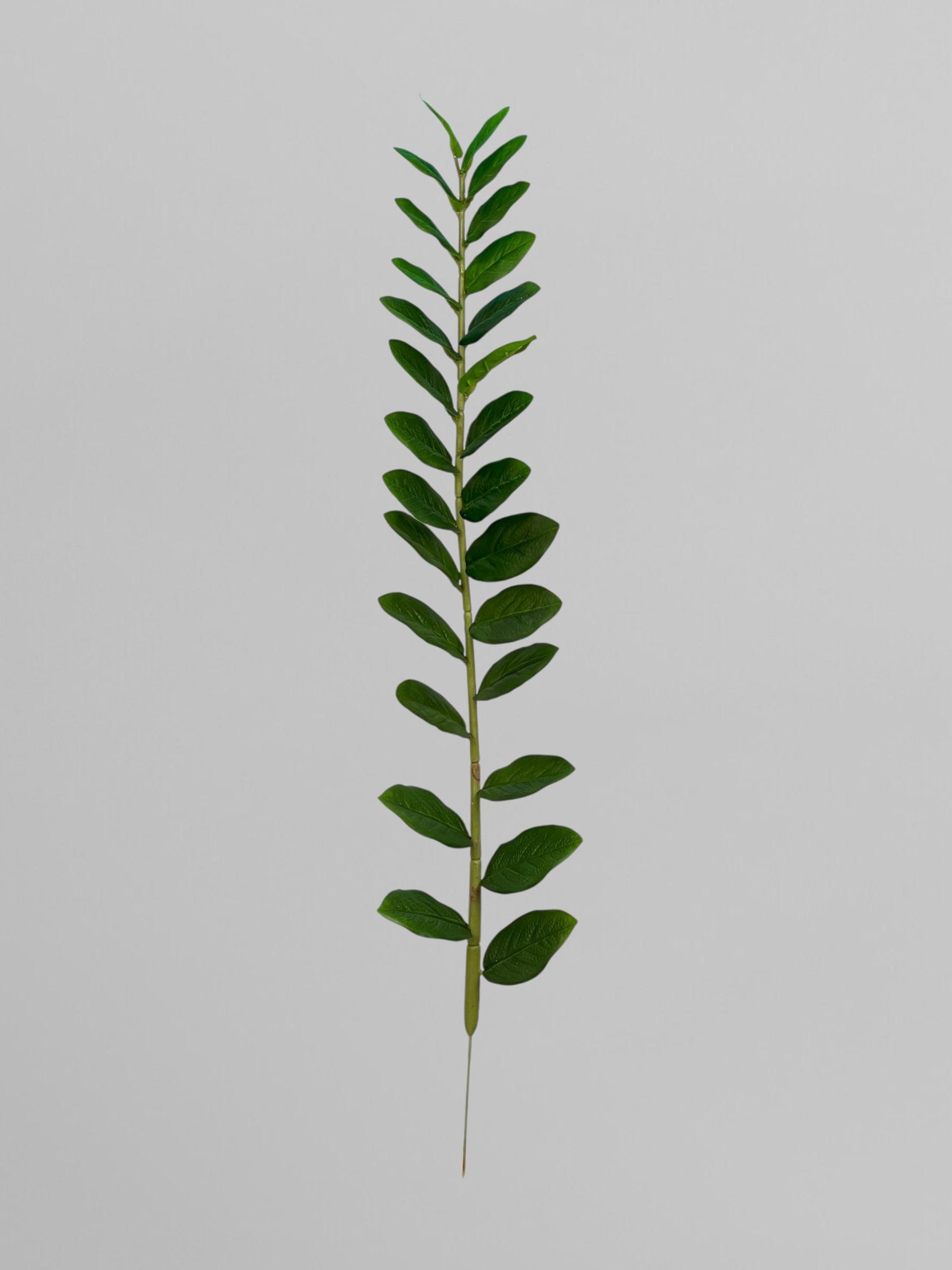 Декоративные листья замиокулькаса XXL 90 см Зеленый (Р04036)