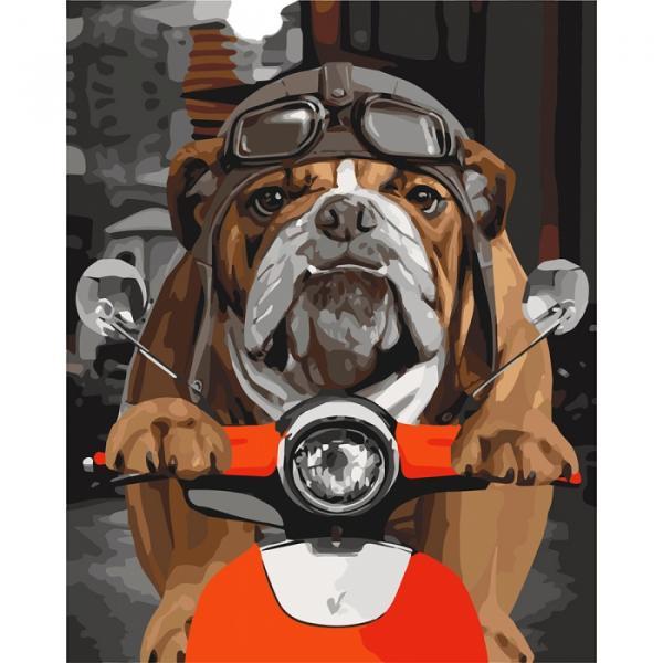 Картина по номерам Идейка Попробуй догани 40х50 см в термопакете (КНО4153-mt)