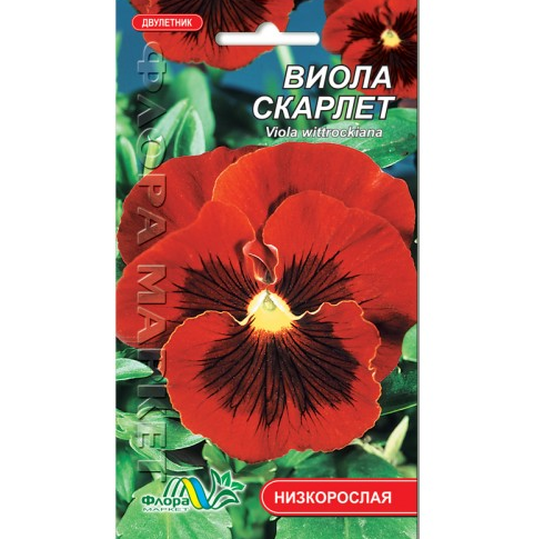 Насіння Віола Скарлет темно-вишнева дворічник низькорослий 0,05 г (26019)