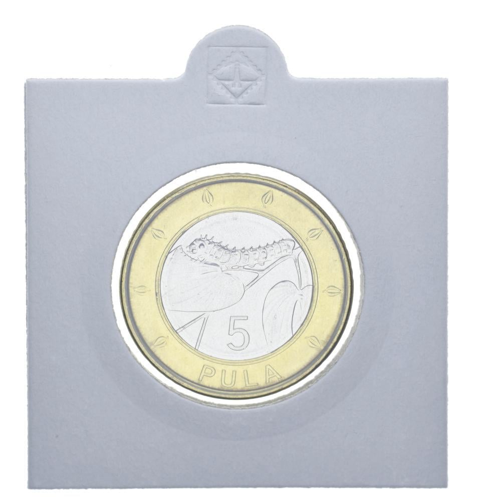 Коллекционная монета Ботсвана 5 пула 2013 Биметалл UNC Гусеница (М11753)