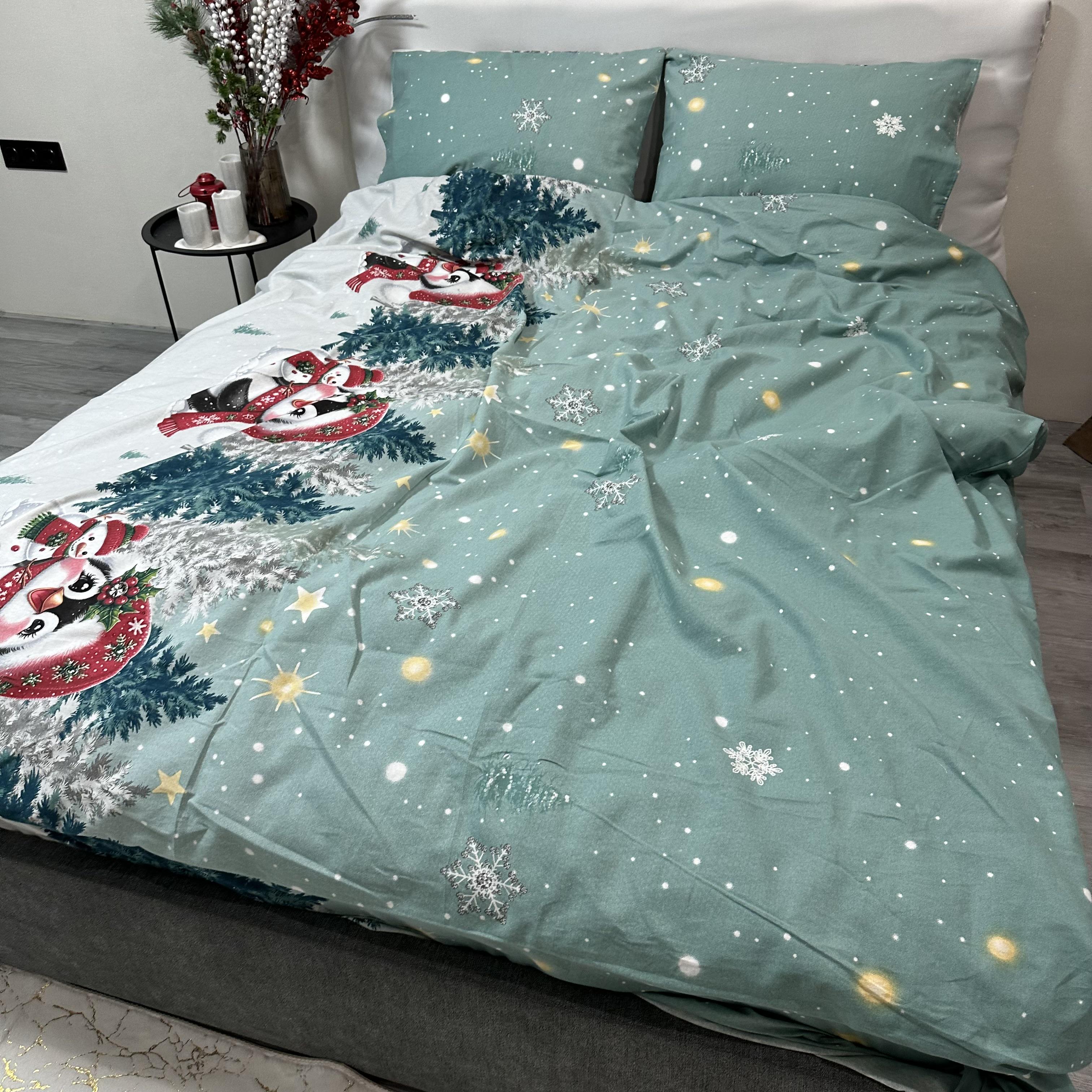 Комплект постільної білизни байкова Зимовий євро Бірюзовий (байка 10-3) - фото 4 Комплект постільної білизни байкова Зимовий євро Бірюзовий (байка 10-3) - фото 4