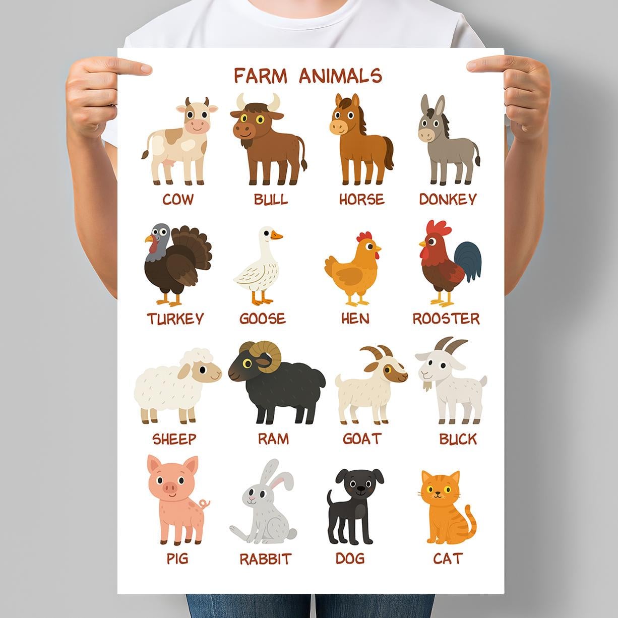 Постер обучающий для детсада на английском Farm Animals Животные на ферме Домашние животные 42x60 см A2 (D246_A2)