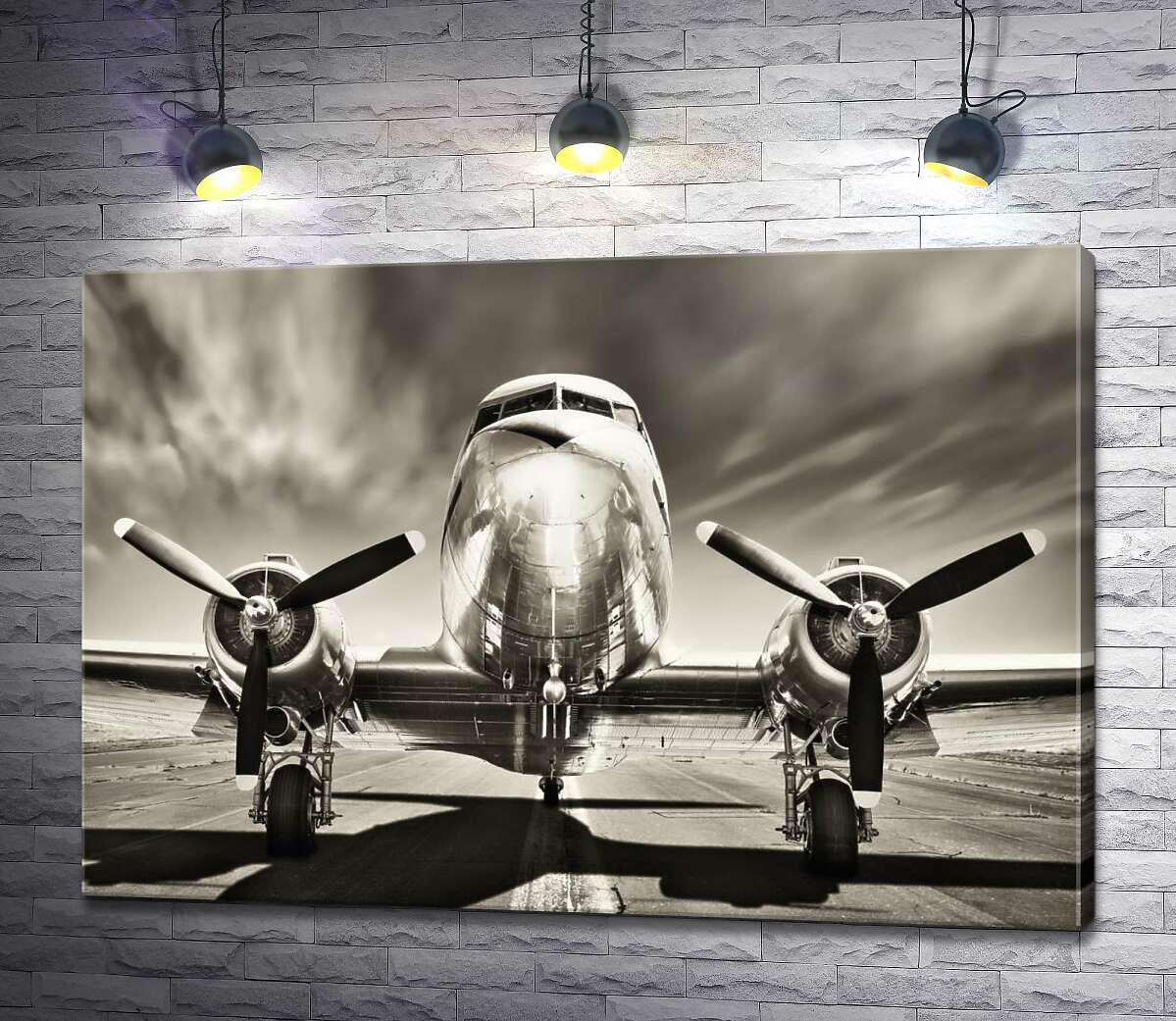 Картина ArtPoster Могутній фюзеляж літака височить над злітною смугою 130x90 см Модуль №1 (000174)