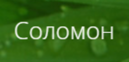 Соломон