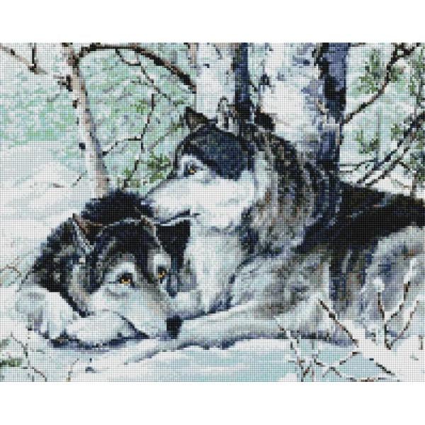 Алмазная мозаика ColorArt Волки на снегу 40х50 см (SP012)