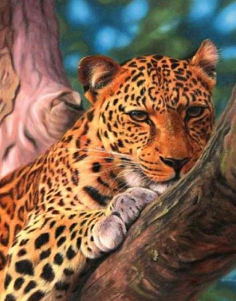 Картина по номерам Josef Otten Животные Леопард 40х50 см в термопакете (3134RA_O-mt)