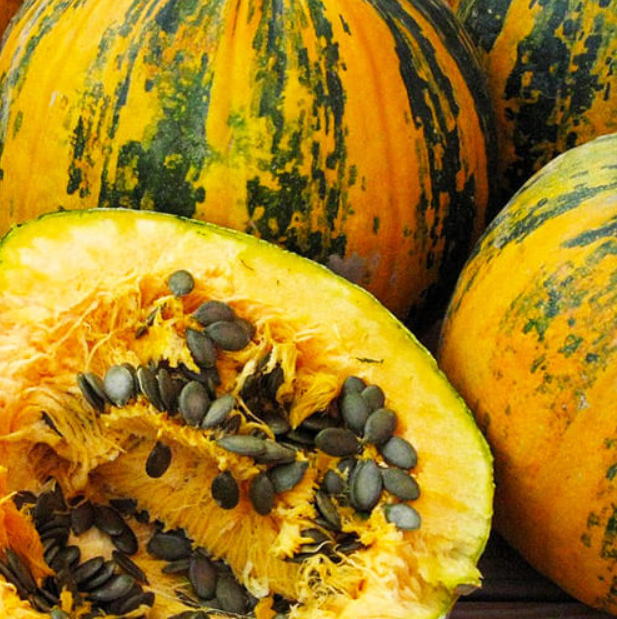 Семена Тыква голосемянная Миранда ТМ Агроном ТД Гекса-Украина 01-27-023 10 шт. (IR02438)