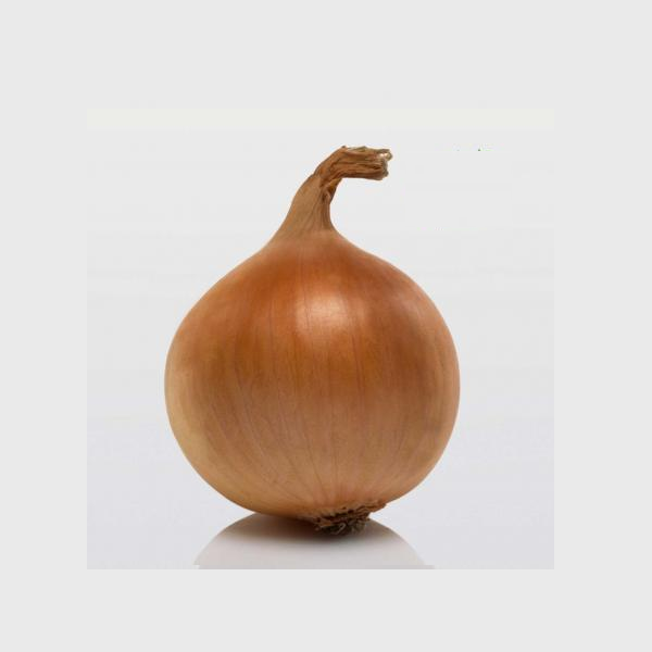 Лук севок BroerB.V. Геркулес 10-21 мм 1 кг (2330625172)