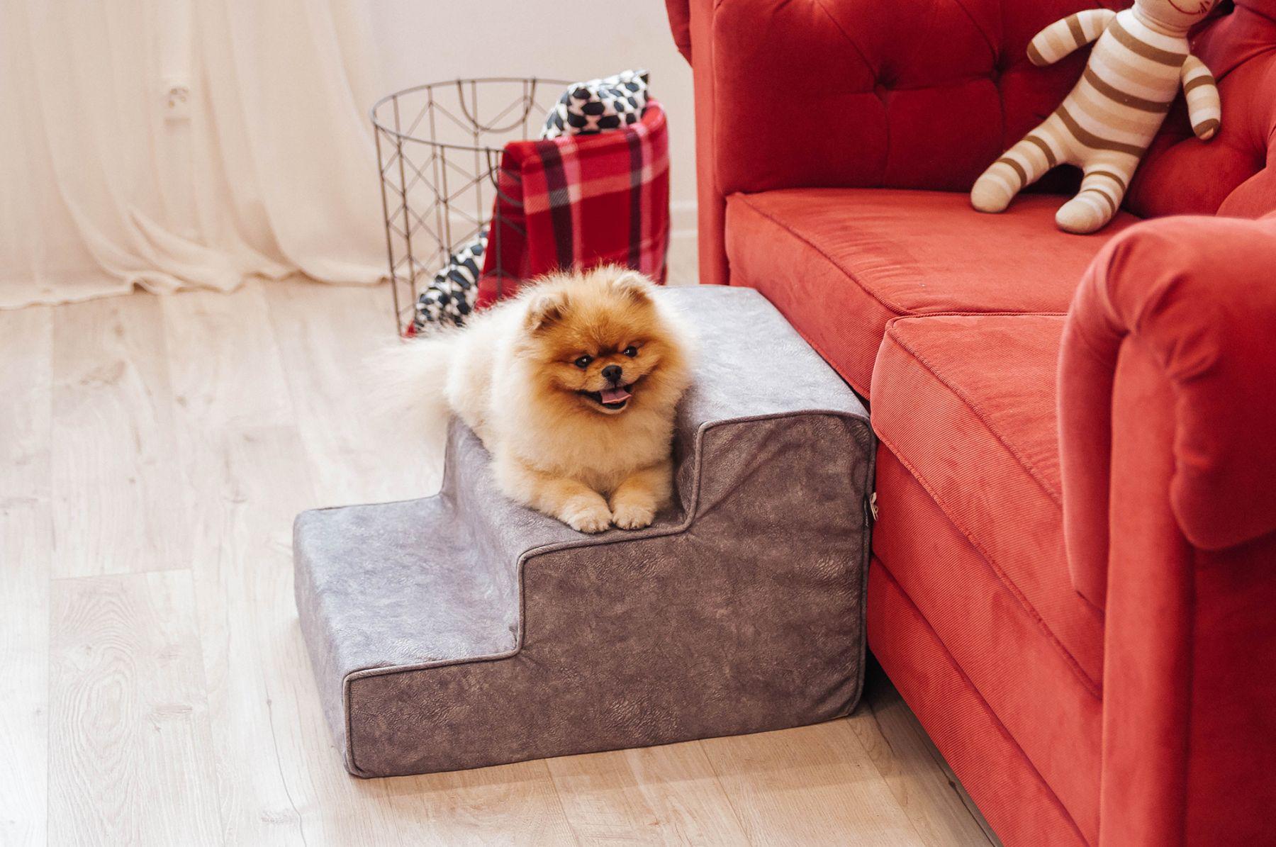 Сходинки для Собак Haustier Lord Gray 3х-рівневі 54х40х36см (R1-1-039) - фото 2 Сходинки для Собак Haustier Lord Gray 3х-рівневі 54х40х36см (R1-1-039) - фото 2