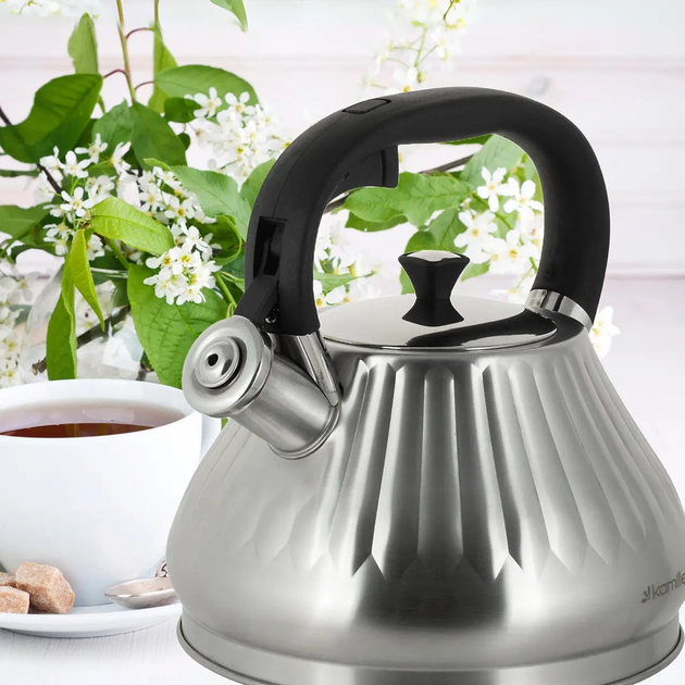 Чайник со свистком и ручкой с покрытием soft touch Kamille KM-0859 из нержавеющей стали 3 л Стальной (150-84-0859) - фото 7