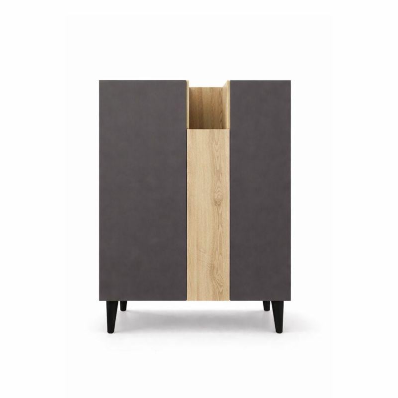 Комод з дверцятами та центральним висувним модулем (RM2F1K800DGDGDS)