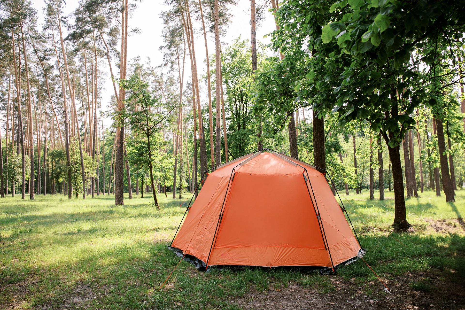 Шатро с москитной сеткой Tramp Lite Mosquito Green (TLT-009.02) - фото 11 Шатро с москитной сеткой Tramp Lite Mosquito Green (TLT-009.02) - фото 11