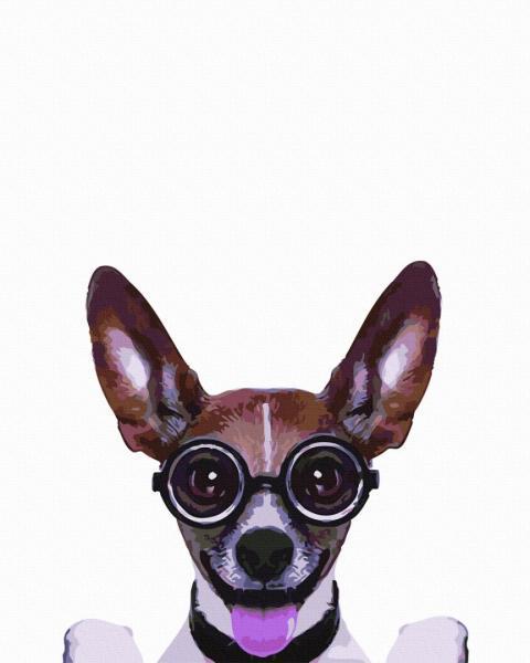 Картина по номерам Brushme Полет нормальный 40х50 см в термопакете (GX5805) Картина по номерам Brushme Полет нормальный 40х50 см в термопакете (GX5805)