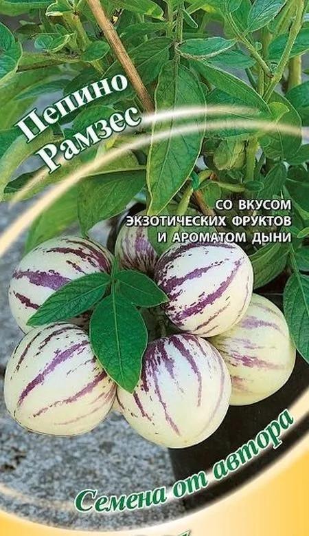 Семена Пепино Рамзес Дынная груша 20 шт.