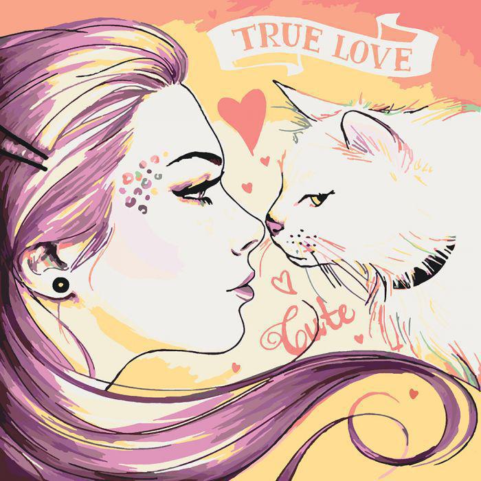 Картина по номерам Идейка Кошечки 2 40x40 см (skl-КНО2680)