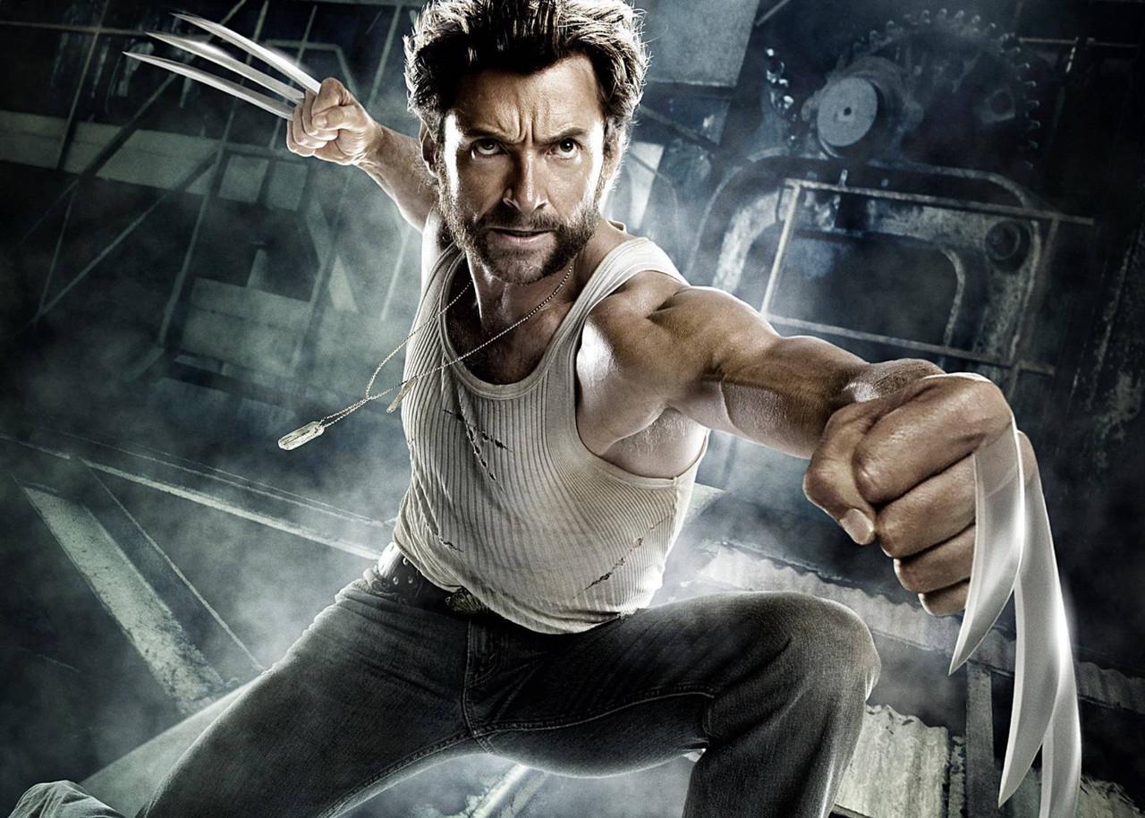 Картина GeekLand Wolverine Person 40х60 см (WR.09.069)