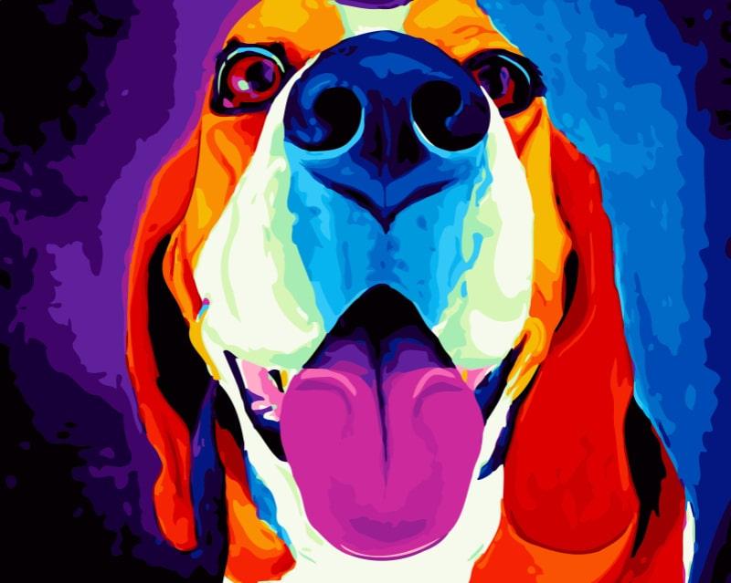 Картина по номерам Brushme GX3107 Песик 40x50 см (1288138709)