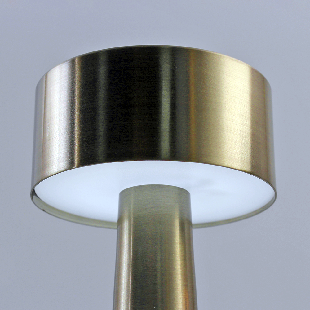 Настольная лампа светодиодная сенсорная с аккумулятором ESLLSE DOWN LIGHT 2 Вт Золотой (10318) - фото 5