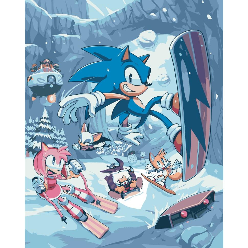 Картина за номерами ART CRAFT Пригоди Соніка 40x50 см Різнокольоровий (PM-194-K-1315)