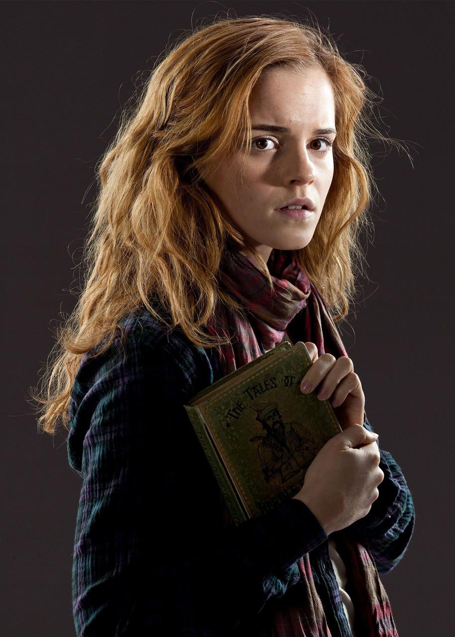 Картина GeekLand Harry Potter Гермиона (HP 09.050)