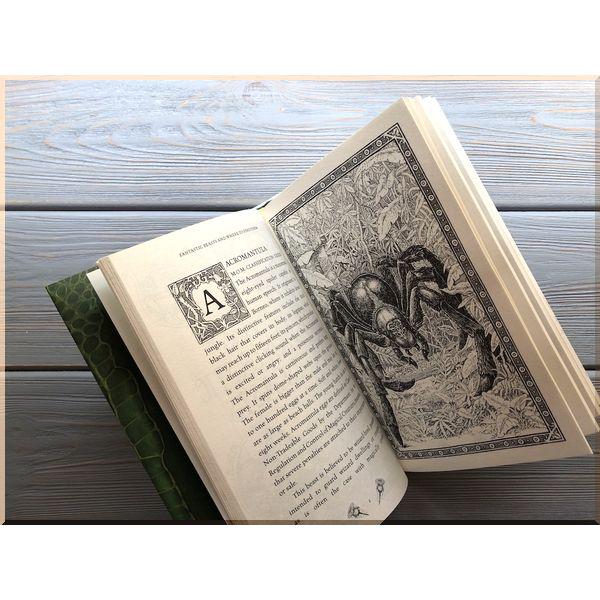 Книга "Fantastic Beasts and Where to Find Them" J. K. Rowling (ISBN:9781408880715) - фото 3