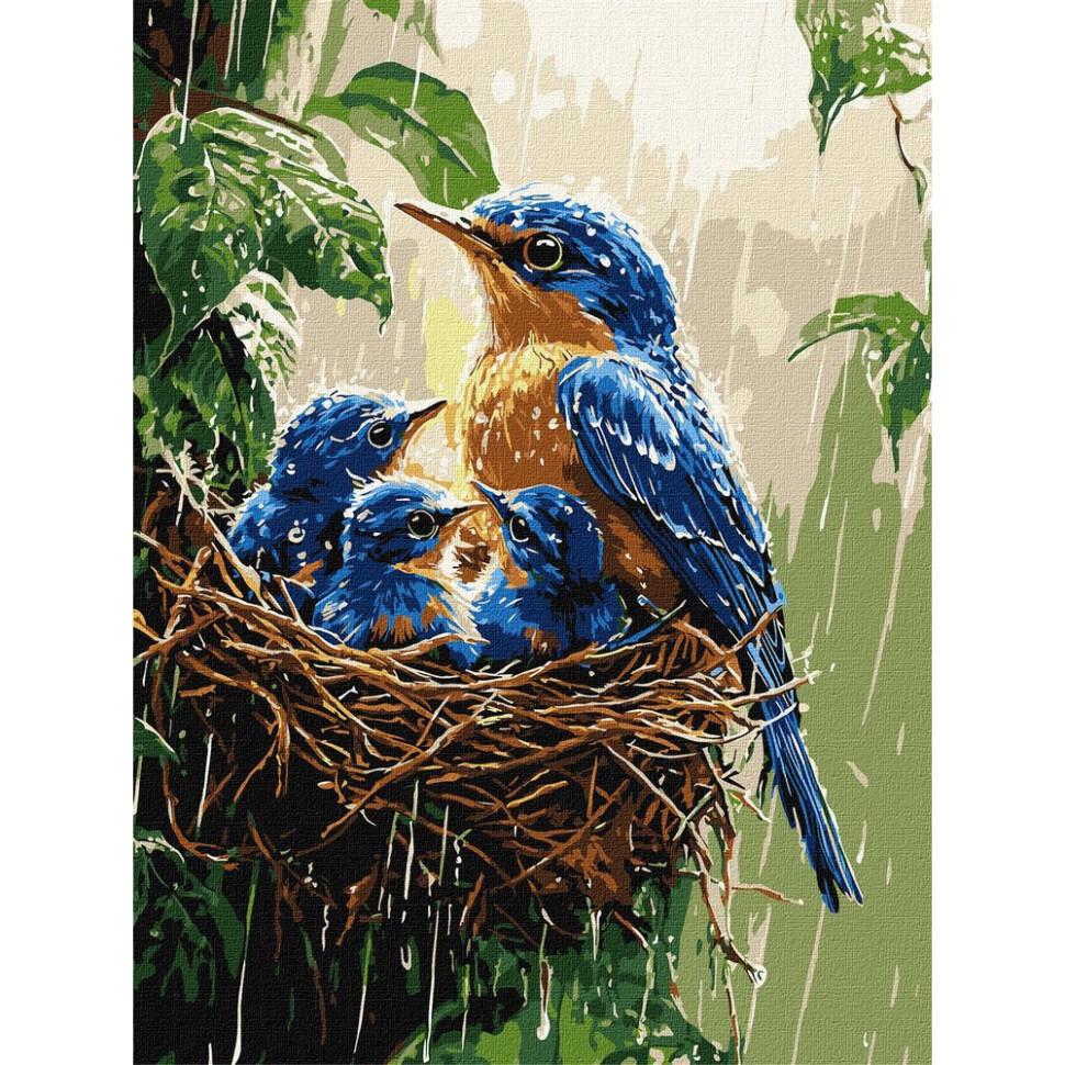 Картина по номерам Ideyka Весенний дождь 30x40 см (KHO6741)