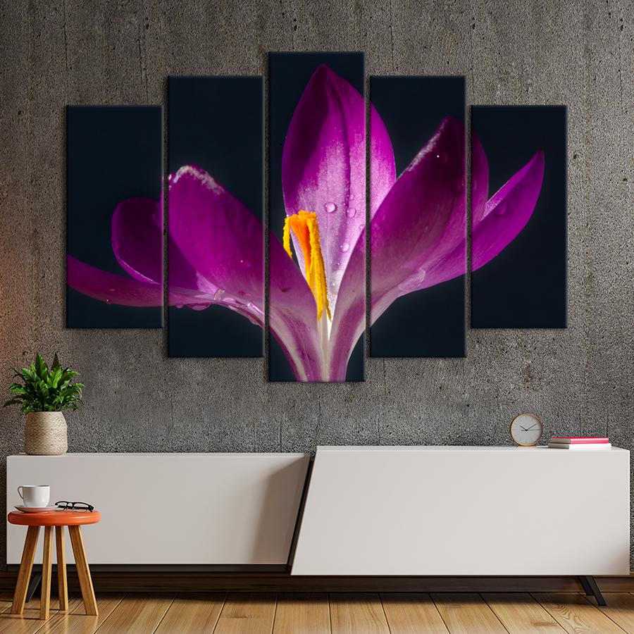 Картина цветы и растения Цветок шафрана на тёмном фоне 112x68 см (A1045-5)