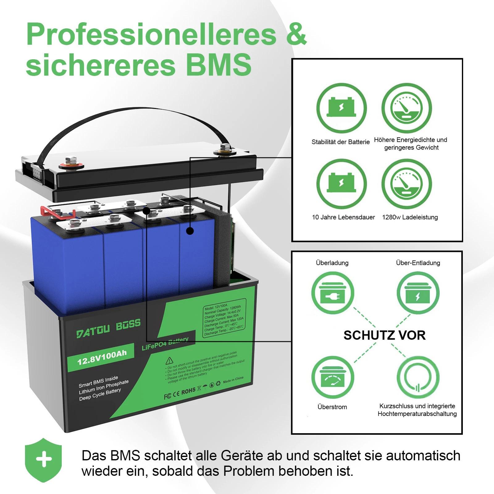 Аккумулятор LiFePO4 DATOU BOSS 12,8V 100 Ah с BMS легкий 5000-15000 циклов - фото 4